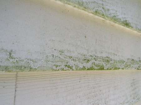 How do you know when your home needs professional house washing